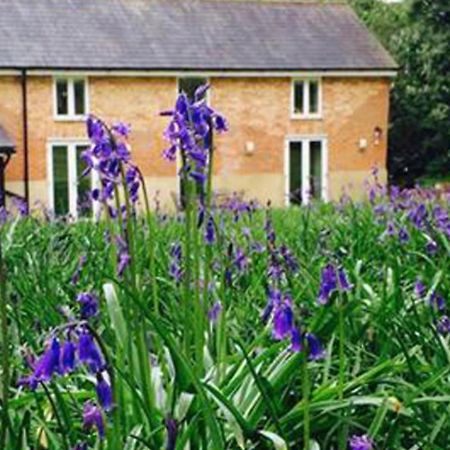 Grooms Cottage Alkham Exterior photo