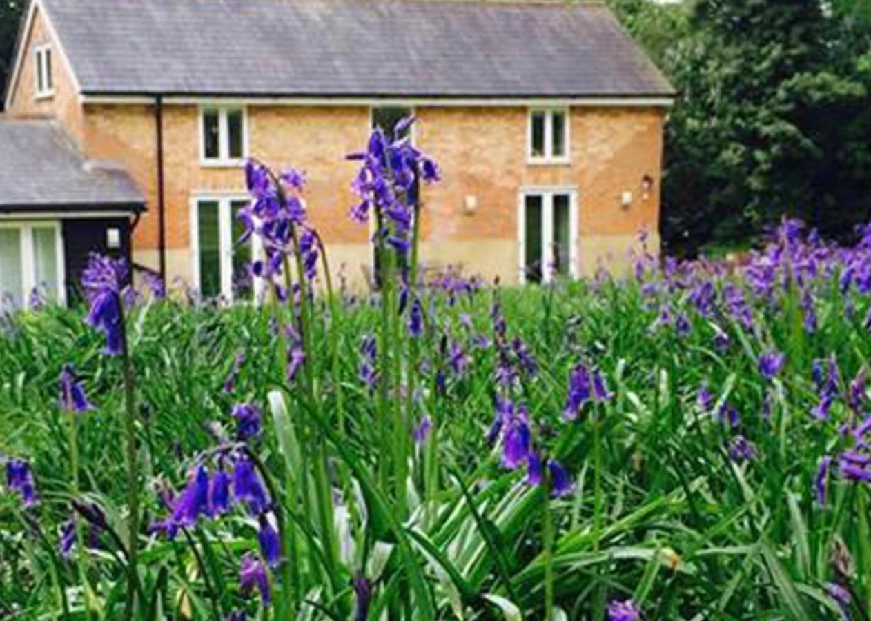 Grooms Cottage Alkham Exterior photo